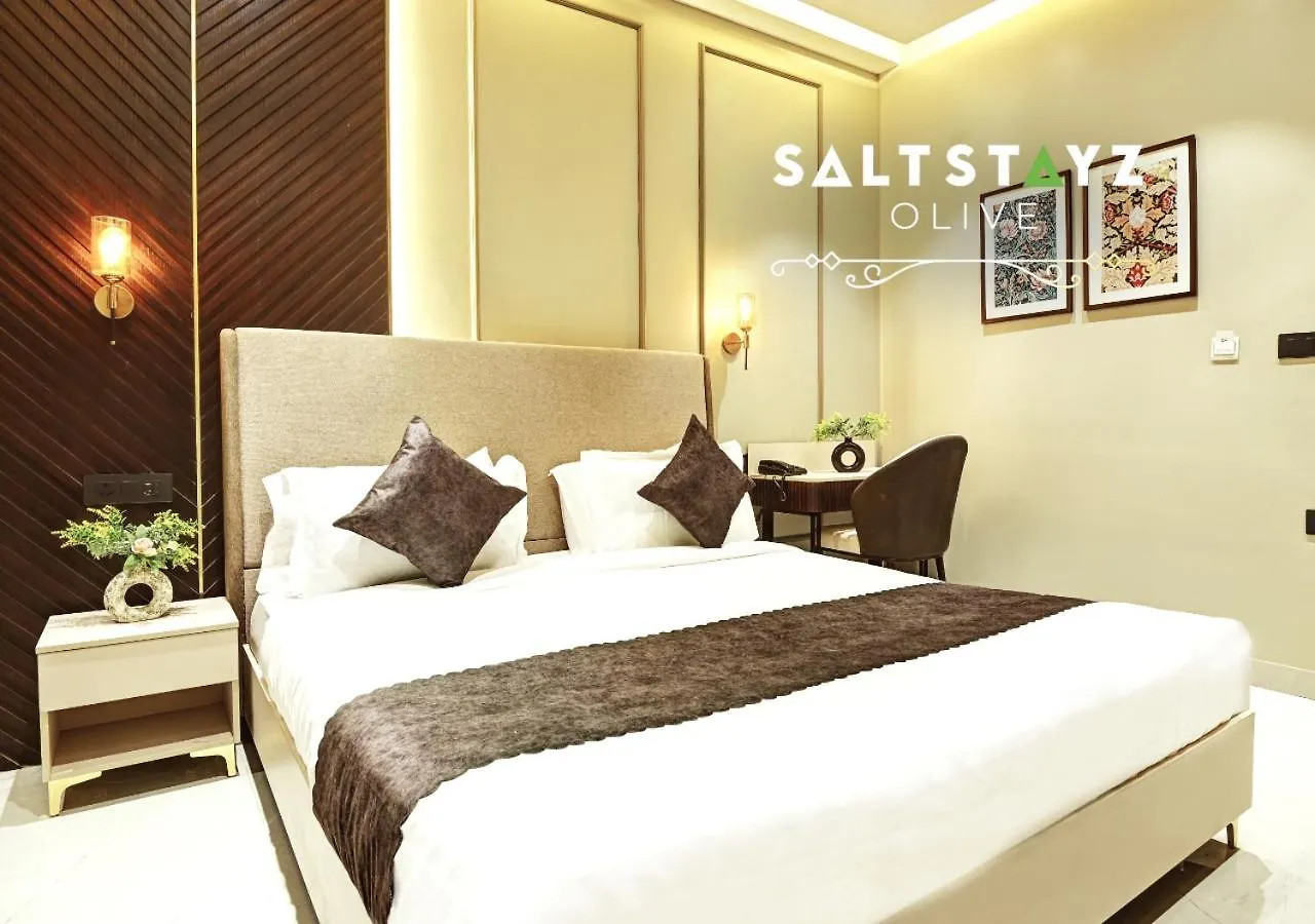 Saltstayz Select - Pitampura 델리 인도