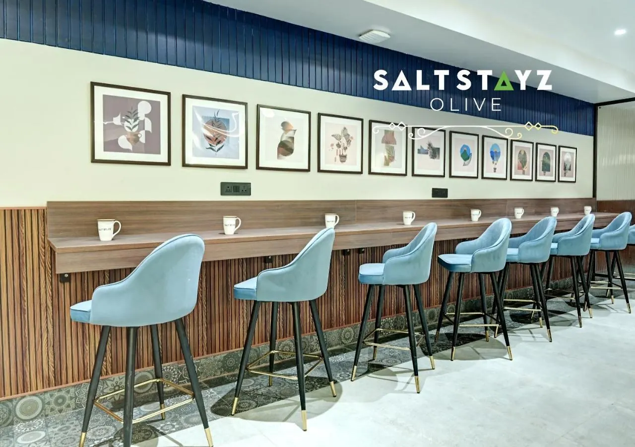 Saltstayz Select - Pitampura Delhi