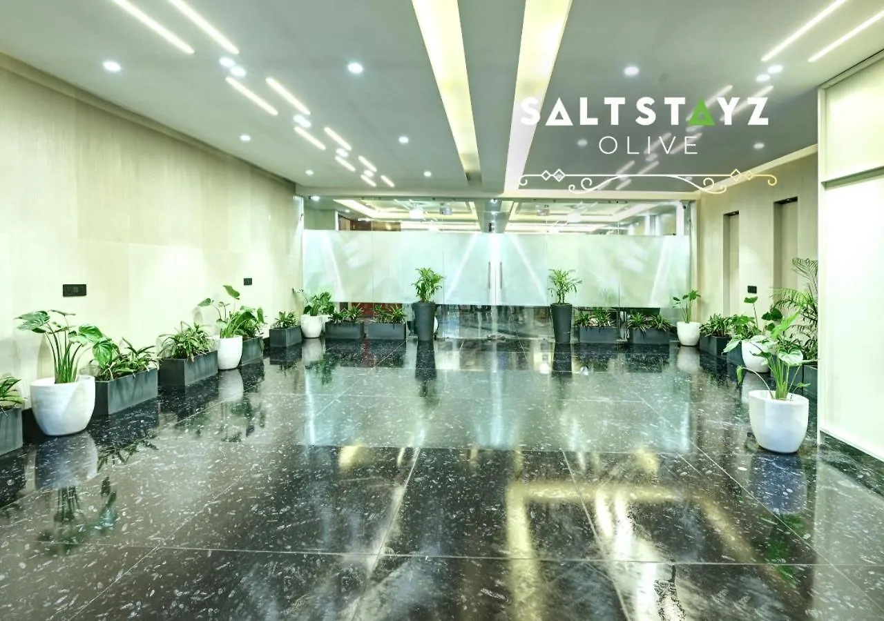 Hotel Saltstayz Select - Pitampura Delhi