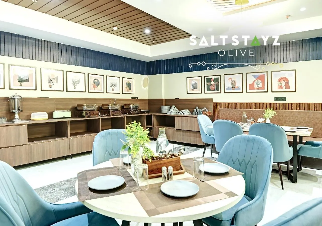 Saltstayz Select - Pitampura Delhi  4*, Delhi (National Capital Territory of India) India