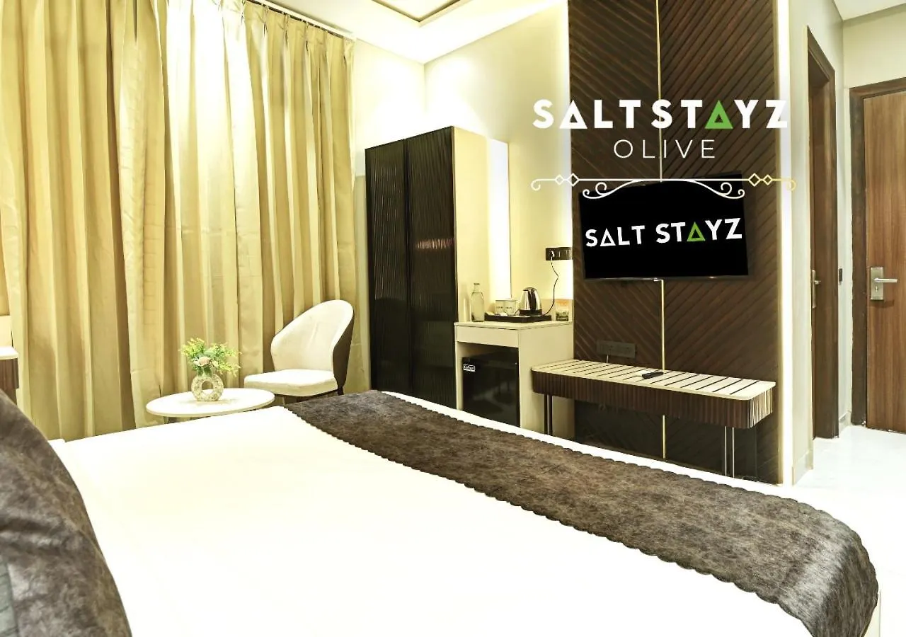 **** Hotel Saltstayz Select - Pitampura Delhi  India