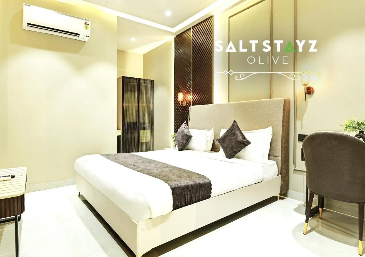 Saltstayz Select - Pitampura Delhi  4*, Delhi (National Capital Territory of India)