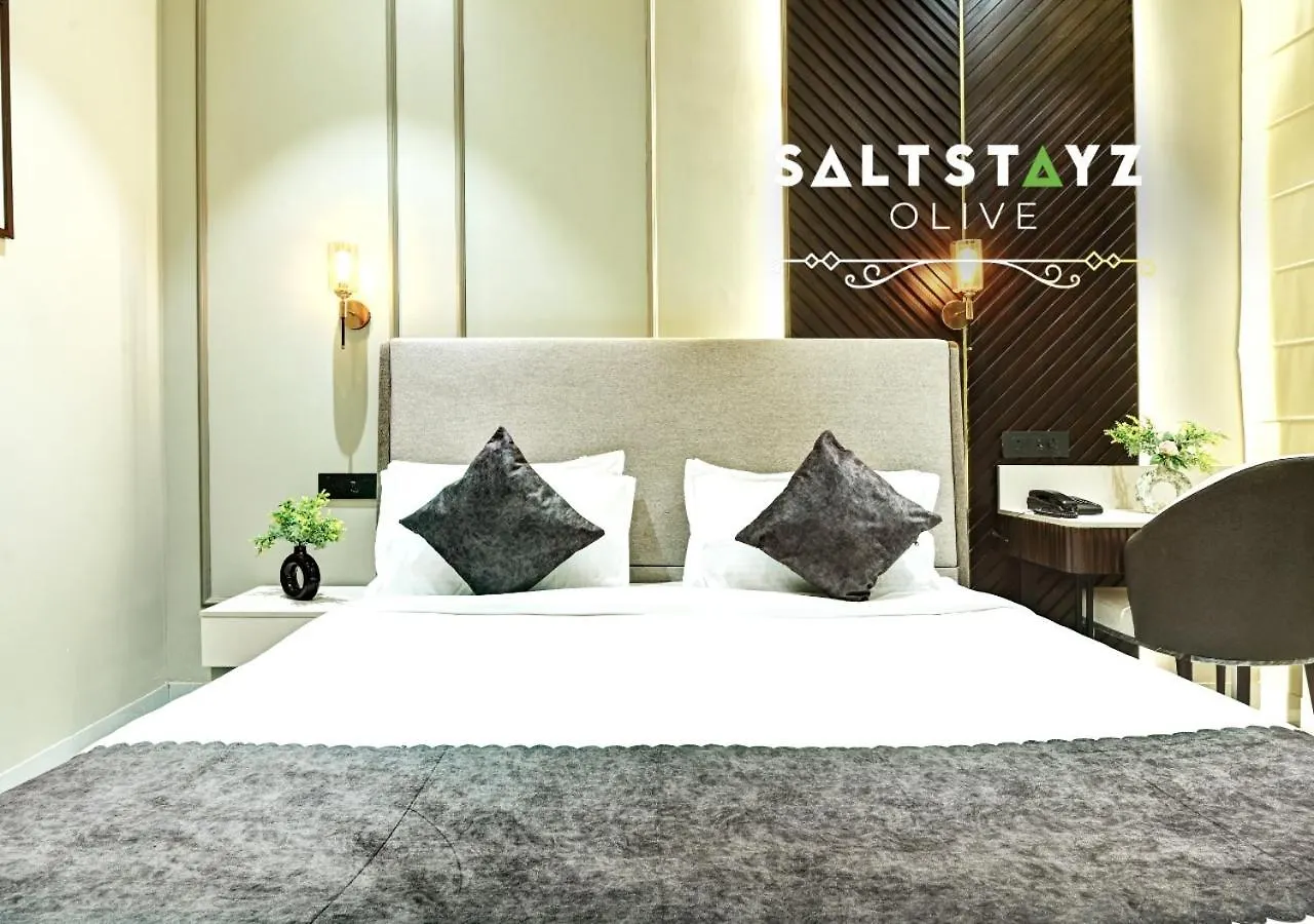 Saltstayz Select - Pitampura Delhi  4*, Delhi (National Capital Territory of India) India
