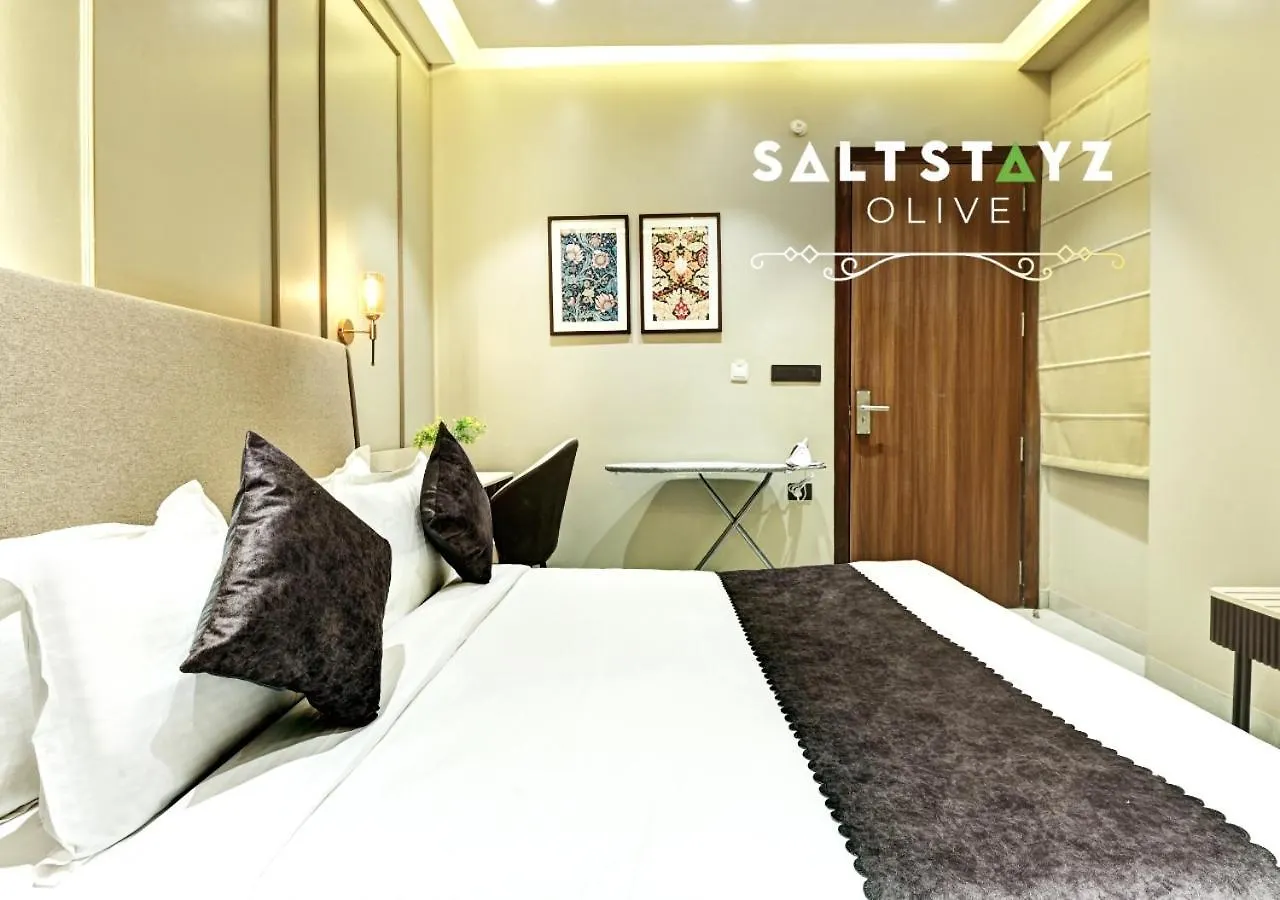 **** Hotel Saltstayz Select - Pitampura Delhi  India