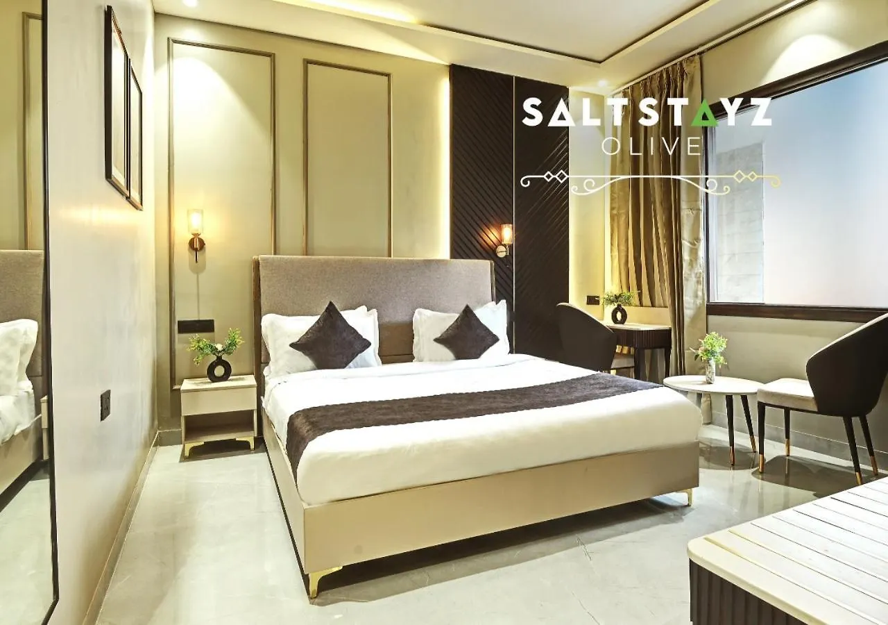 Saltstayz Select - Pitampura Delhi  Hotel
